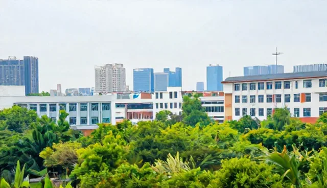 财务咨询：企业如何选择适合的咨询服务